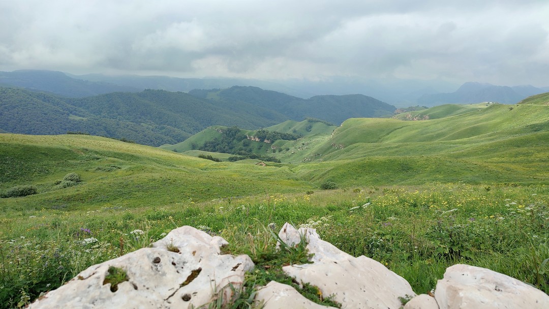 В Домбай из Кисловодска - побывать в горной сказке (Марина)