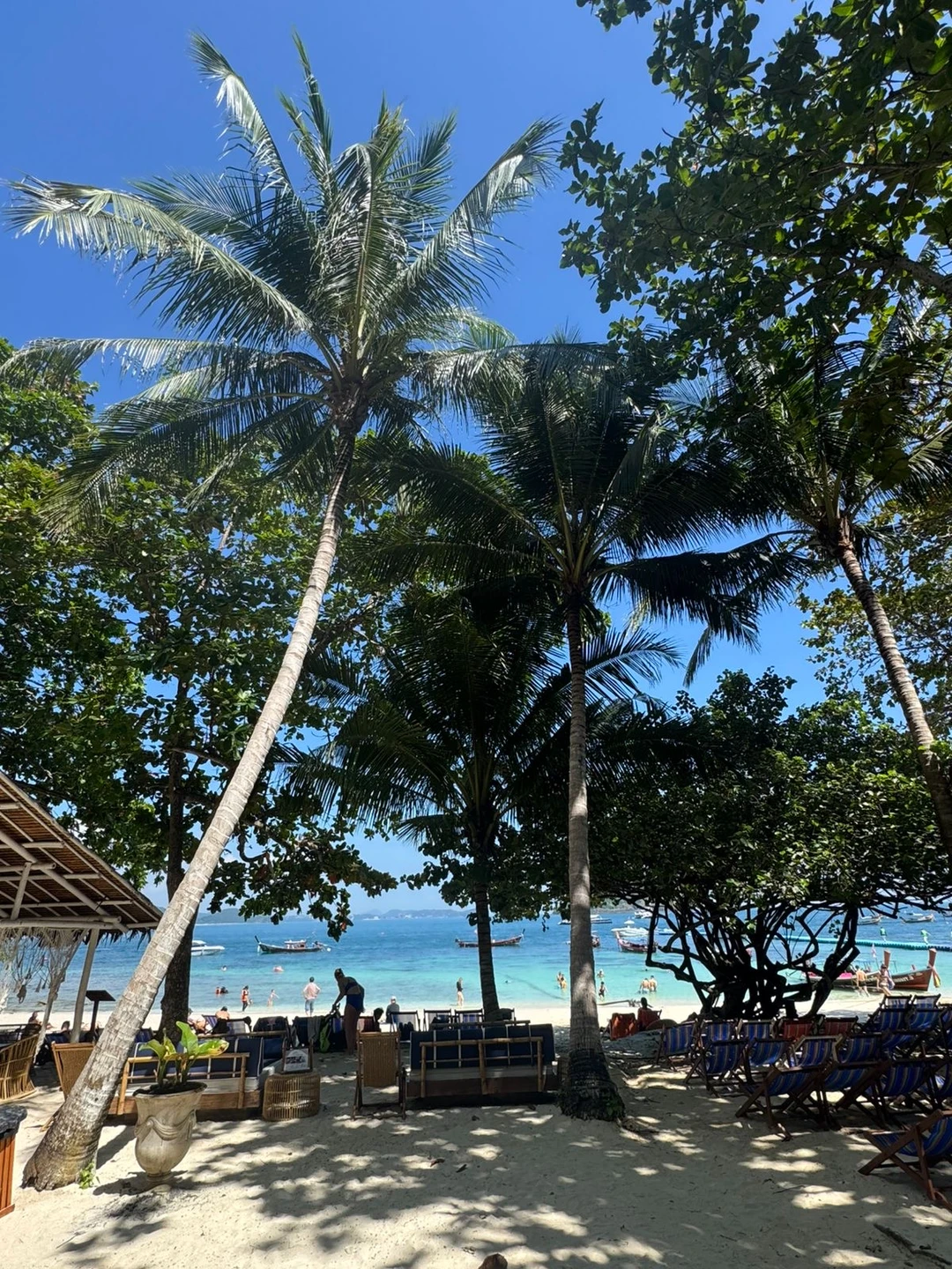 Недавно побывала на утренней прогулке на катамаране к острову Коралл, и это было просто невероятно! С