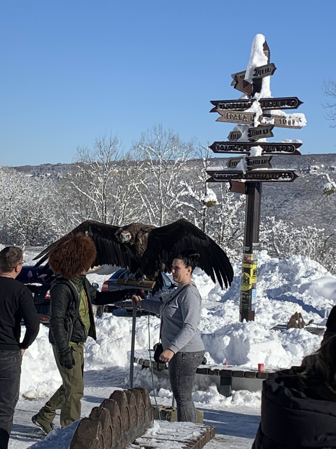 Поездка с гидом Батыром в предгорье Кавказа Лаго Наки останется в наших сердцах. Даже в зимний