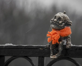 Знакомство с Калининградом и органный концерт