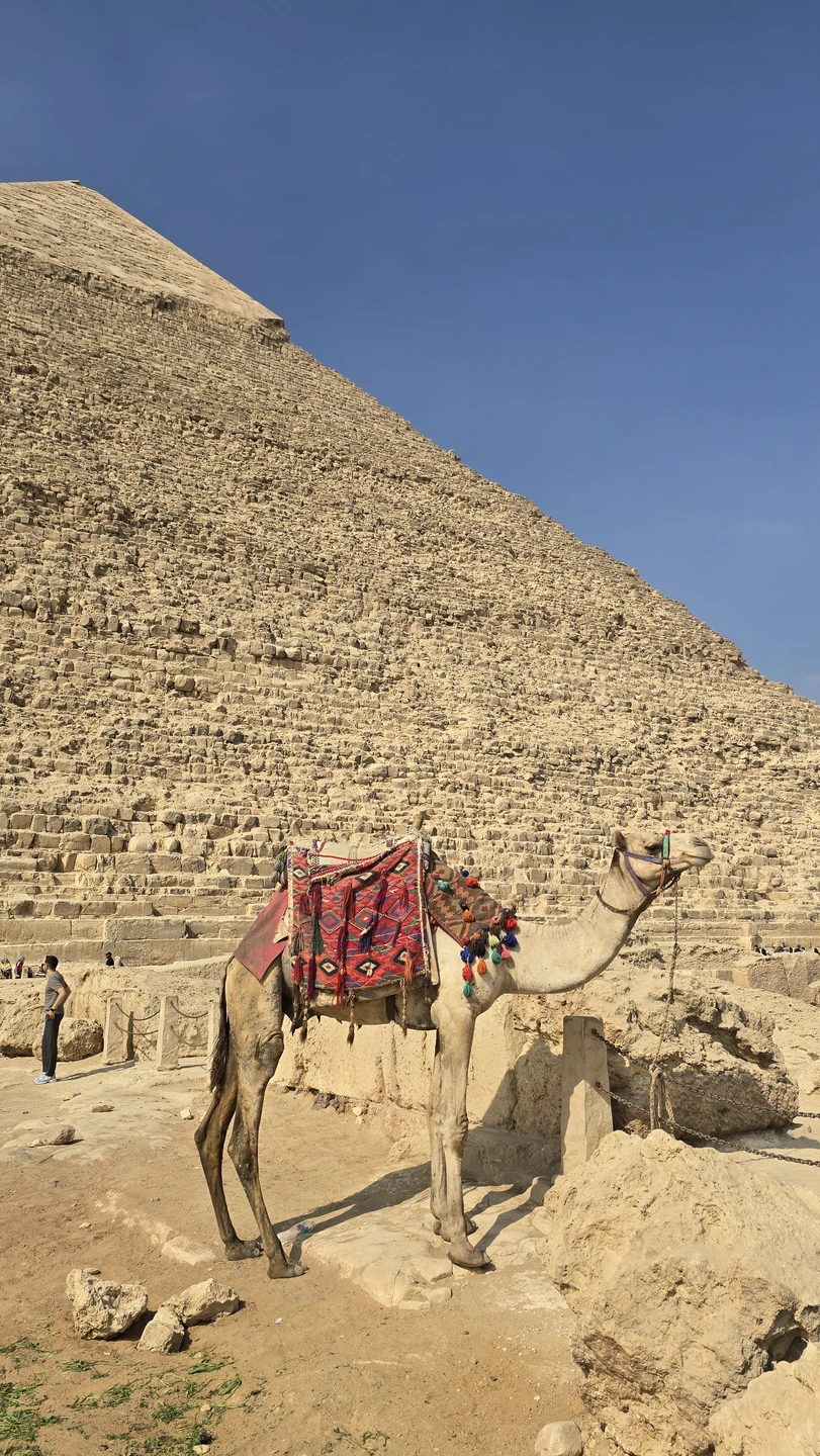 Мы в восторге! Пирамиды, сфинкс, гробницы… Экскурсия нам очень понравилась. Сайд много нам интересного рассказал и