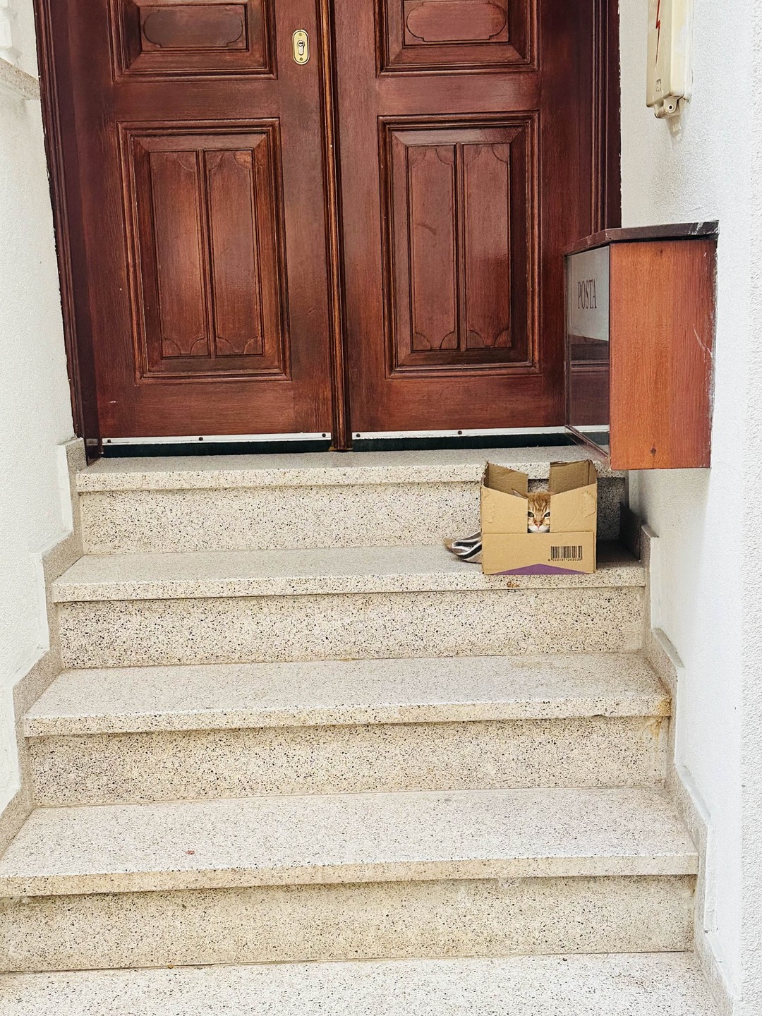 Ваш идеальный день в Стамбуле (Юлия)