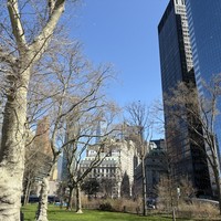 Фото отзыва 2: экскурсия "Аудиопрогулка «Весь Нью-Йорк: история, звёзды, архитектура»"