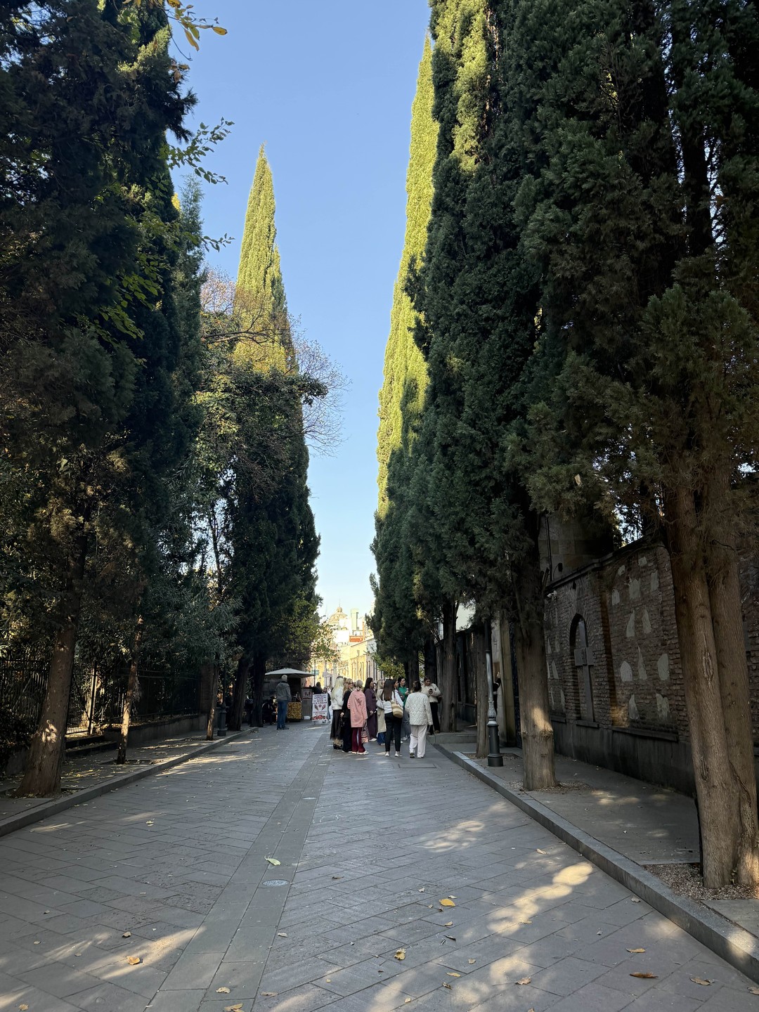 Очень понравилась Карина🩷