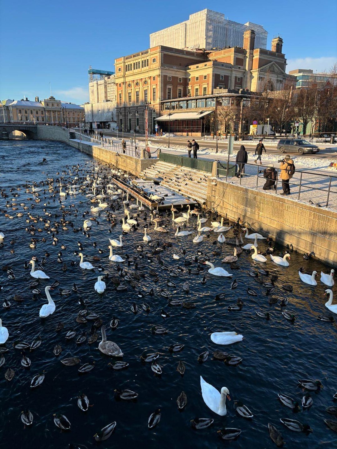 Нам очень понравилось. Мы несколько не пожелали,что выбрали Вас. Спасибо большое за экскурсию и надеемся что не в последний раз. 😊