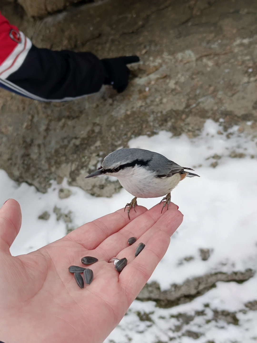 От момента посадки в машину, до момента прибытия, Виталий вёл рассказ о Белокурихе и её окрестностях