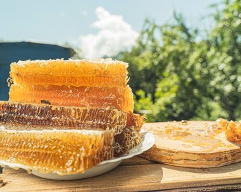 Клин: отдых на пасеке с экскурсией, мастер-классами, обедом и чаепитиями