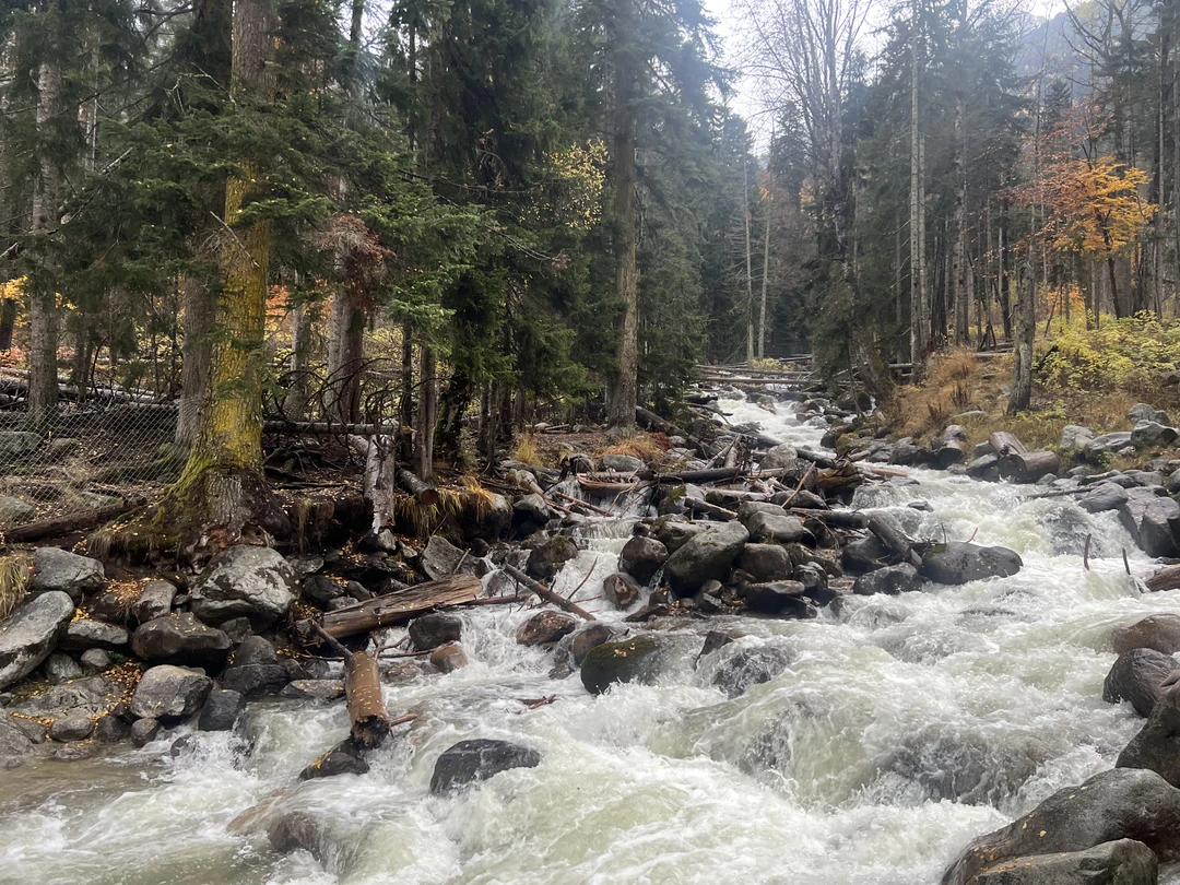 Мы очень довольны сегодняшней поездкой (28.10.25). Александр - прекрасный гид, дает информацию в понятной форме, интересно