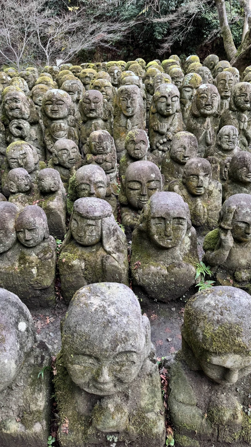 Отличный гид, со своим транспортом и видением Японии 🙂 Мы посещали Киото, Нару и Осаку, составляли