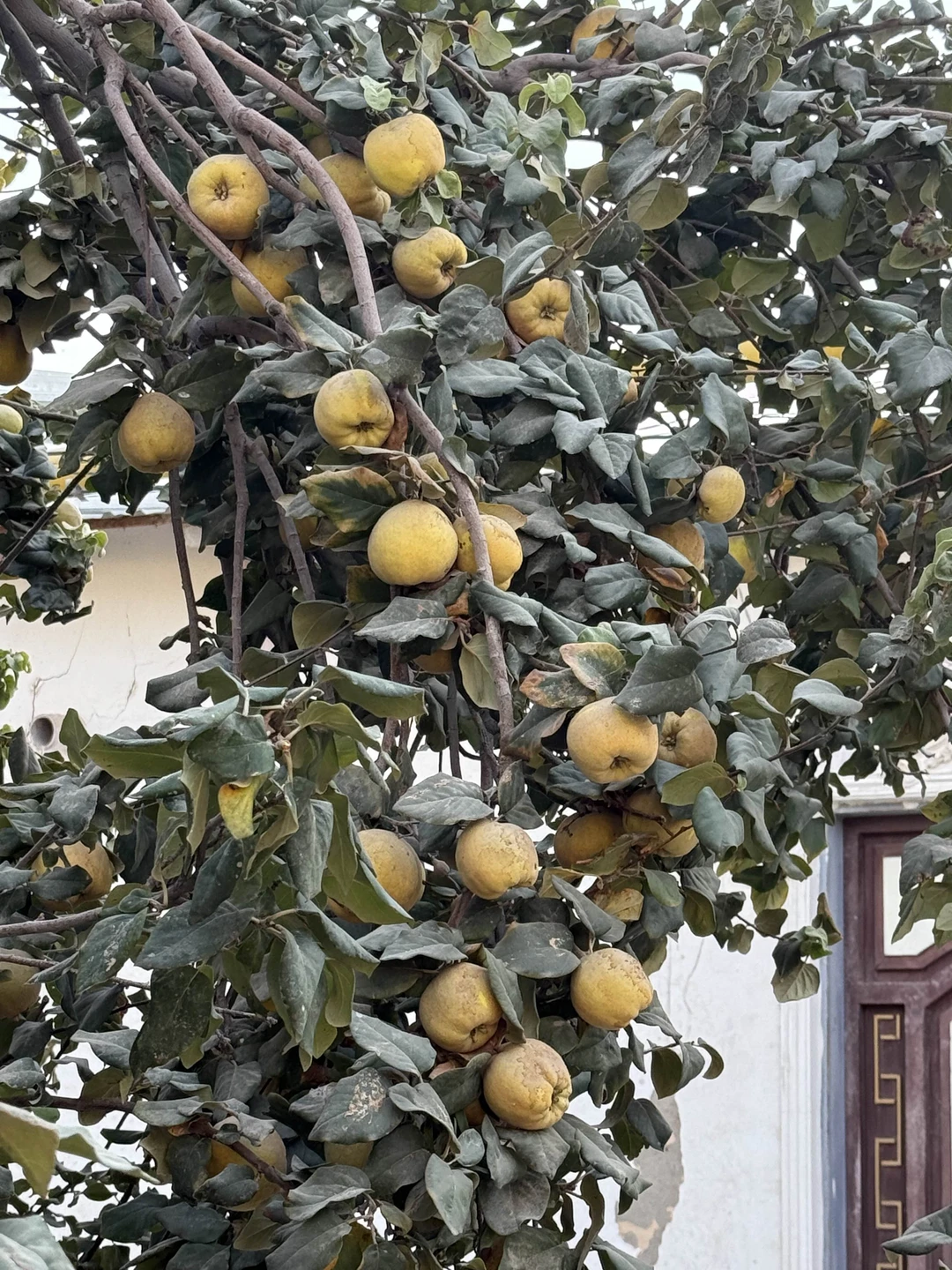 Армен, большое спасибо Вам за замечательную экскурсию по Бухаре! С Вами было очень комфортно, Вы очень