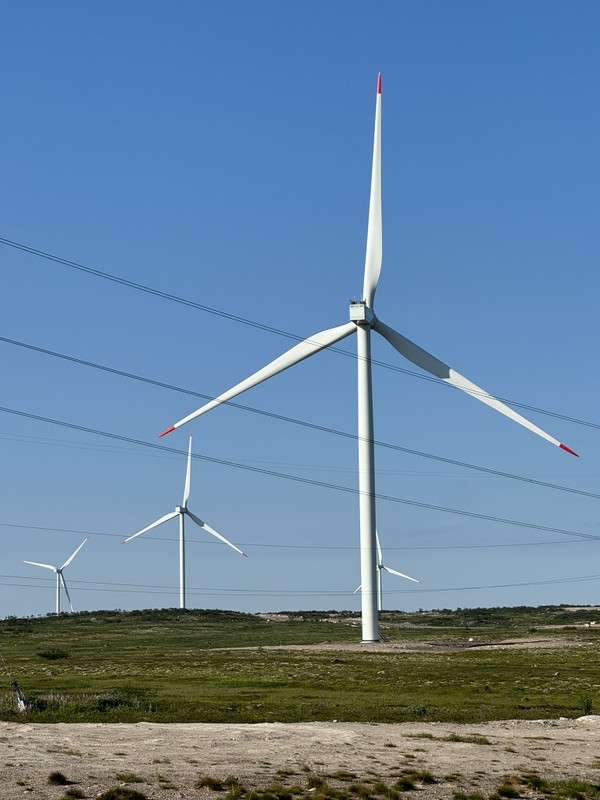 Виды Невероятная Териберка: увидеть и попробовать