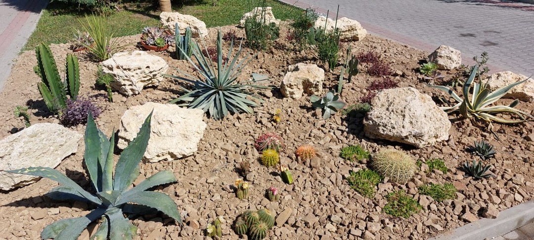 Абрау-Дюрсо - колыбель российского шампанского (Алан)