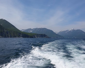 Морская прогулка, рыбалка в бухтах Аванчинского залива и дегустация ухи и краба