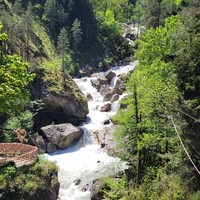 Фото отзыва 6: экскурсия "«Абхазский драйв»: озеро Рица и Гегский водопад"