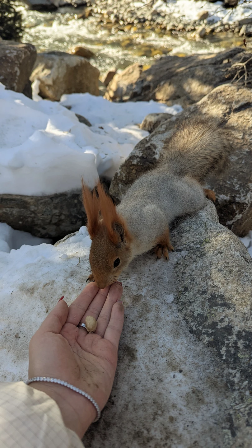 Экскурсия очень понравилась, гид Денис провел по красивым местам национального парка, познакомил с местной кухней и