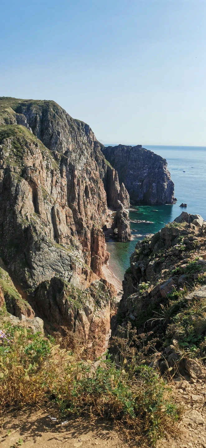 Морское приключение во Владивостоке: мыс Тобизина, котики и морепродукты (Нина)