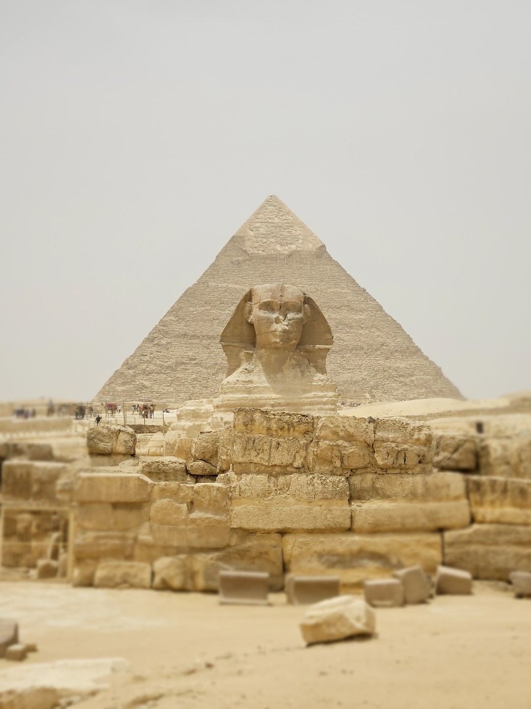 Отличный гид. С высшим специальным образованием (египтолог). Сын профессора.