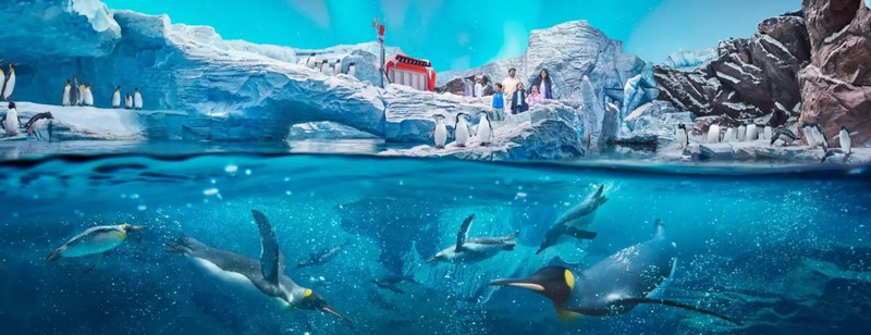 Фото - Экскурсия: "Билет 2 в 1: SeaWorld + Лувр Абу-Даби"