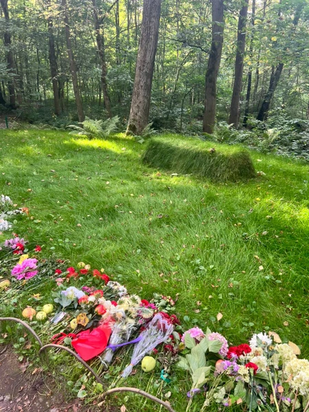 Замечательная, насыщенная и очень увлекательная экскурсия. Огромная благодарность нашему прекрасному гиду Елене! Ее любовь к своему