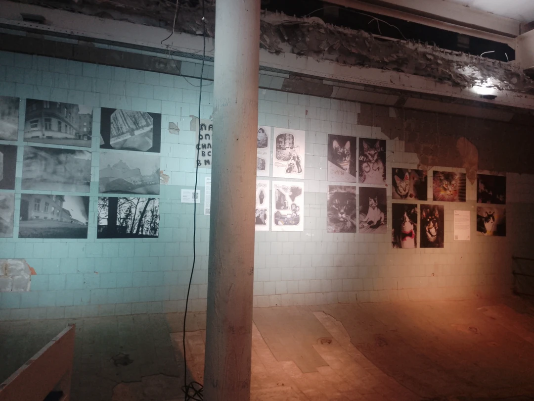 Катакомбы и башня Петрикирхе с Герхардом Ройттером (Любовь)