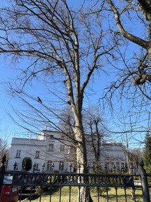 Фото отзыва 6: экскурсия ""