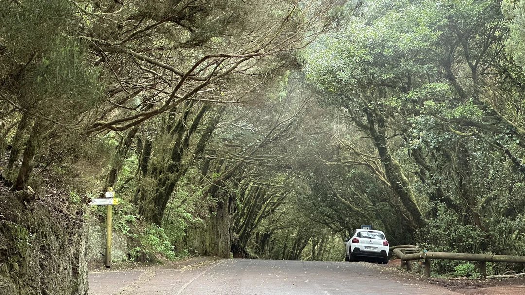 Отличный тур! Евгений — очень эрудированный и организованный гид. Он сумел объединить в одну группу совершенно
