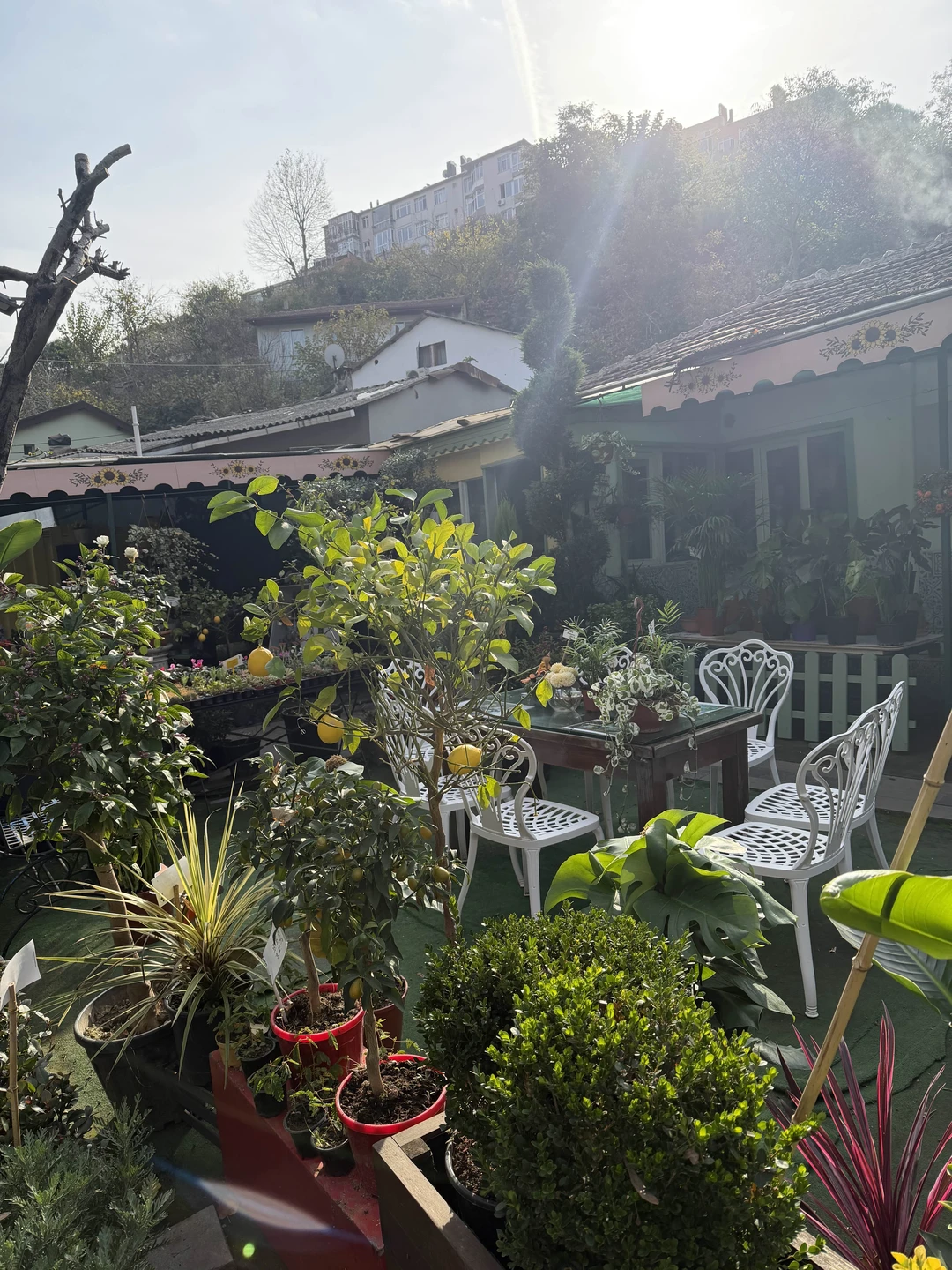 Алена отличный экскурсовод! Рассказала множество интересных фактов о Стамбуле, учитывала пожелания во время маршрута и даже