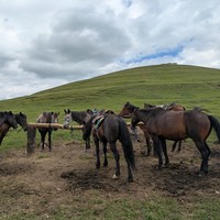 Фото отзыва 3: экскурсия "Верхом вдоль Берёзового ущелья"