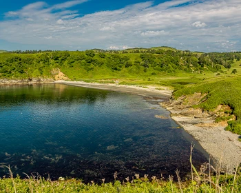 Бухта Дмитрова, свободное время и активность на выбор