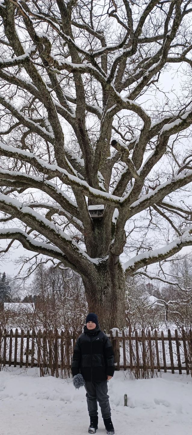 Из Пскова в Пушкинские Горы: Михайловское и Тригорское (Татьяна)
