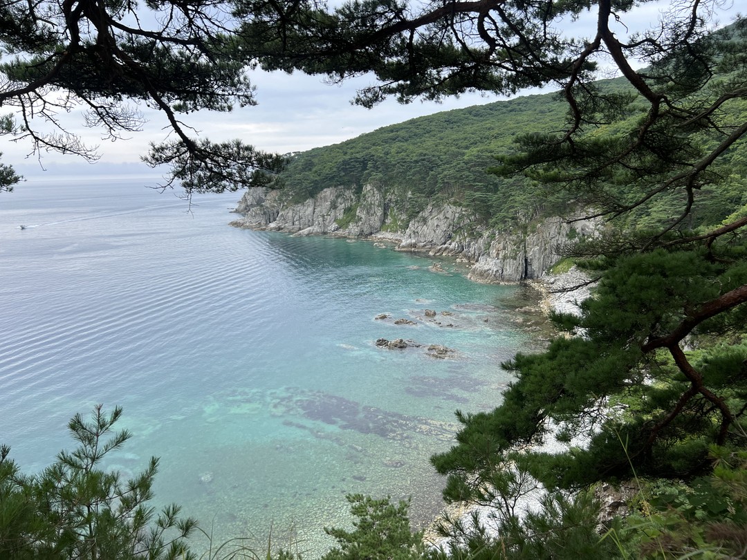 Здравствуйте, интересная поездка, чтоб ознакомиться с многогранным Приморским краем, красивые пейзажи, чистое море. Коллективно мы поменяли