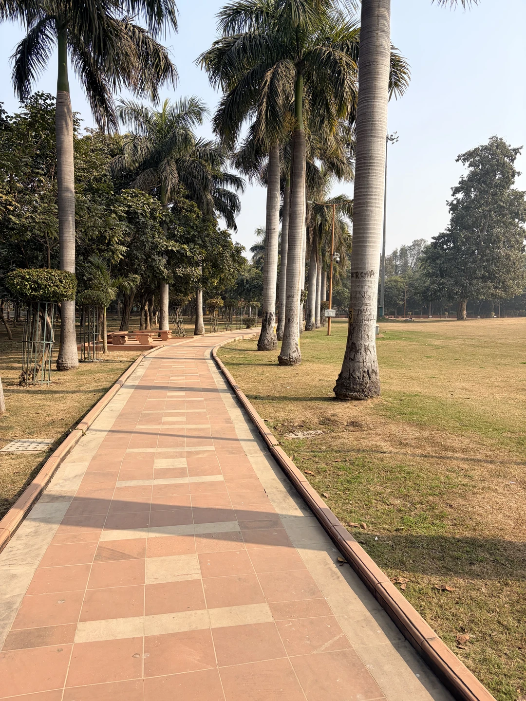 Сегодня были на экскурсии по старому Дели, очень понравилось