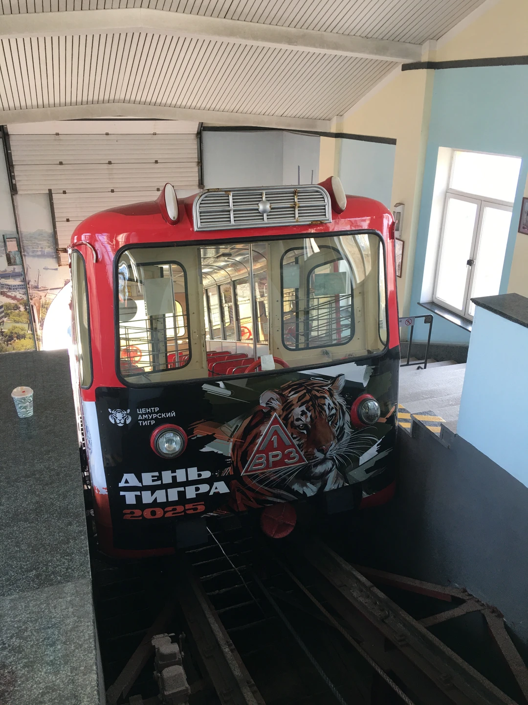 Привет, я Владивосток! (Дмитрий)