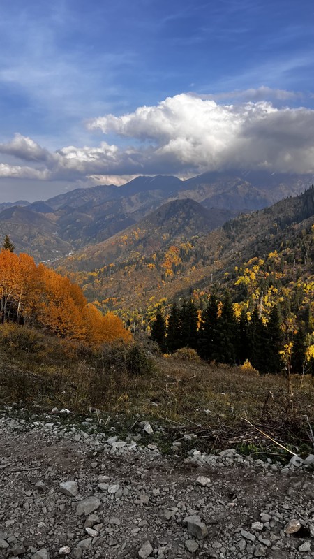 Фото отзыва 2: экскурсия "По вершинам счастья и топовым местам Алматы"