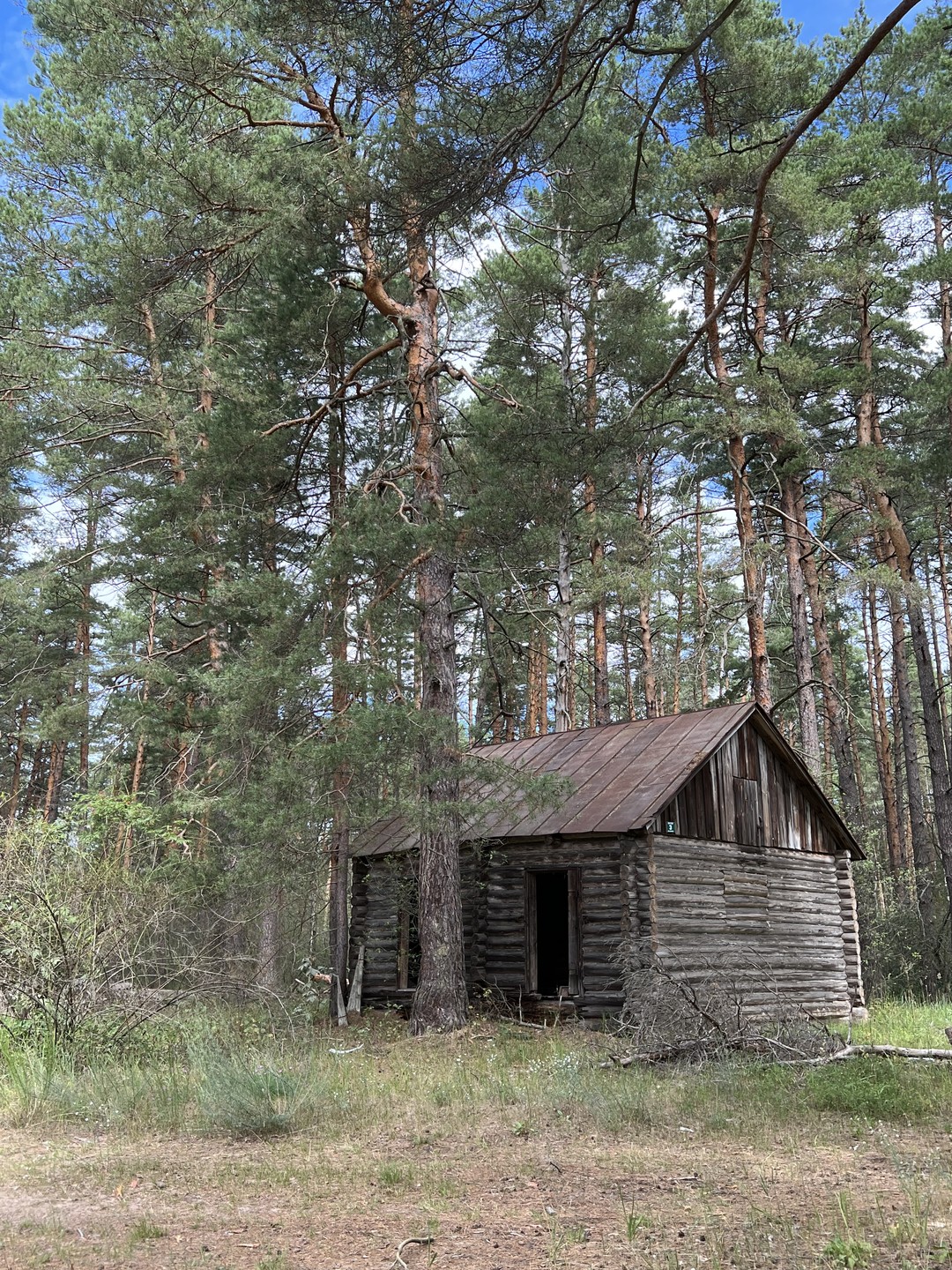 Велопрогулка с Евгением полностью оправдала мои ожидания и пожелания. Я не подготовленный велосипедист, а любитель. Велосипед