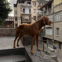 reviews img