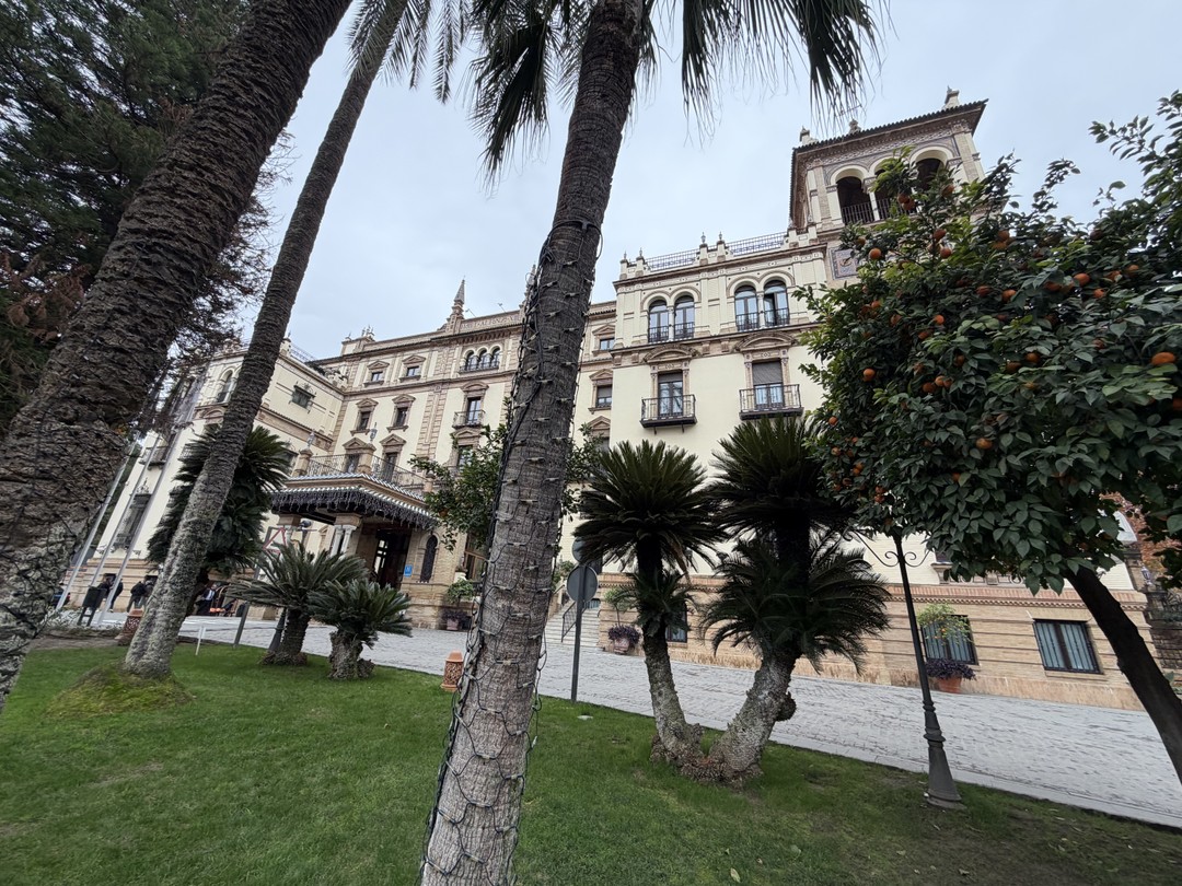 Роскошный город! Классный гид! Но лучше встретиться с гидом в первый, максимум второй день приезда. Елена