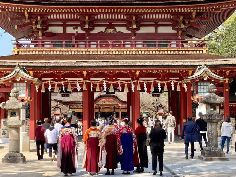 Весеннее чудо Кюсю - глицинии в цвету (в Фукуоке)