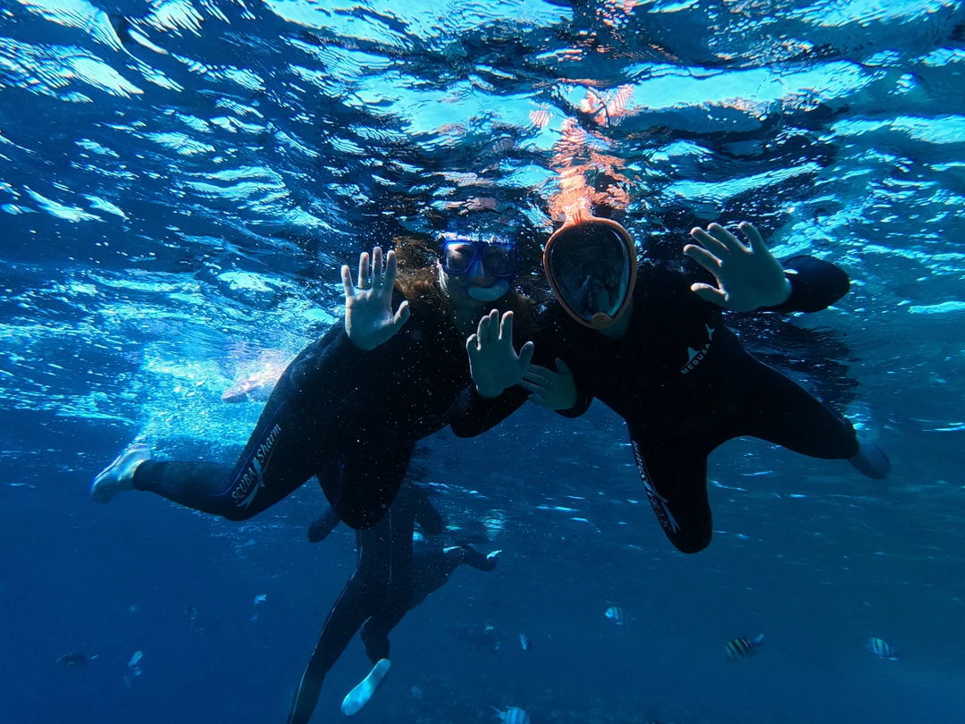Сегодня посетили данную экскурсию! Мы в полном восторге, красивый подводный мир, очень интересный заповедник. Все красиво и необычно!