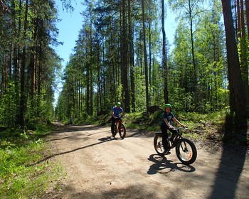 Река Тулемайоки