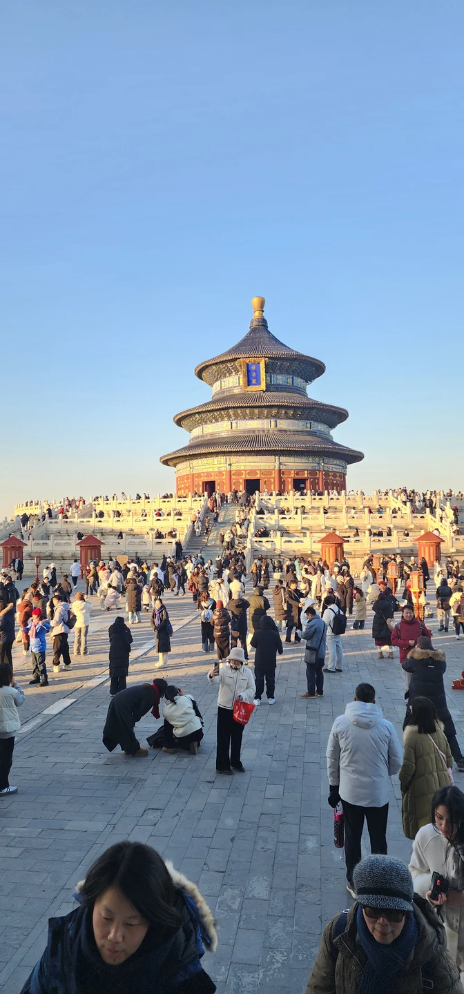 Отличный организатор, порекомендовала гостиницы. Купила нам билеты в цирк на лучшие места и организовала сопровождение. С