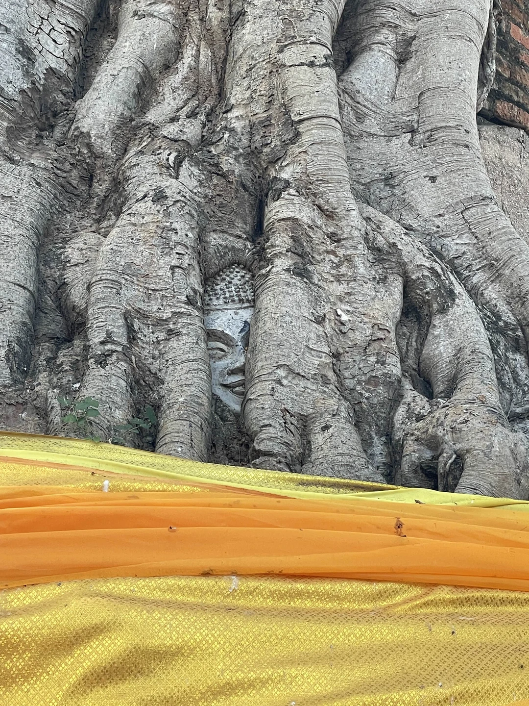 Интересная экскурсия в столицу древнего Сиама. Красивые, необычные храмы. Обязательно стоит съездить, рекомендую.