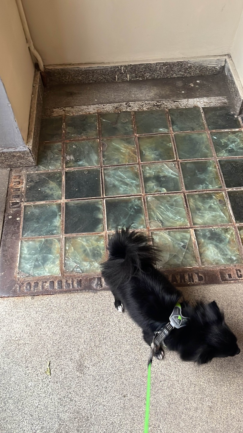 В лабиринте Чистопрудных переулков (Юлия)