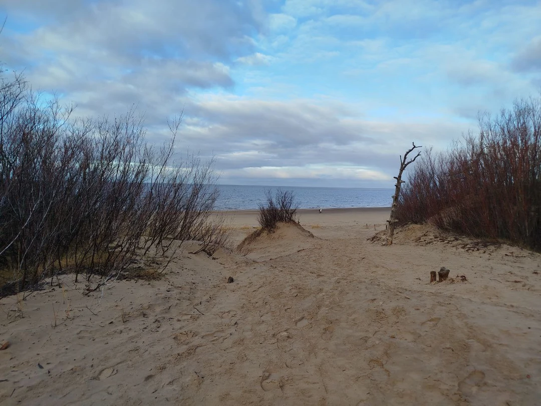 Спасибо Сергею, в компании которого мы провели несколько незабываемых дней в Архангельске и его окрестностях, увидели