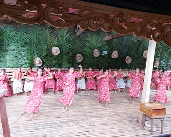 Памилакан, снорклинг с сардинами, пещера Хинагданан и ферма Bohol Bee Farm