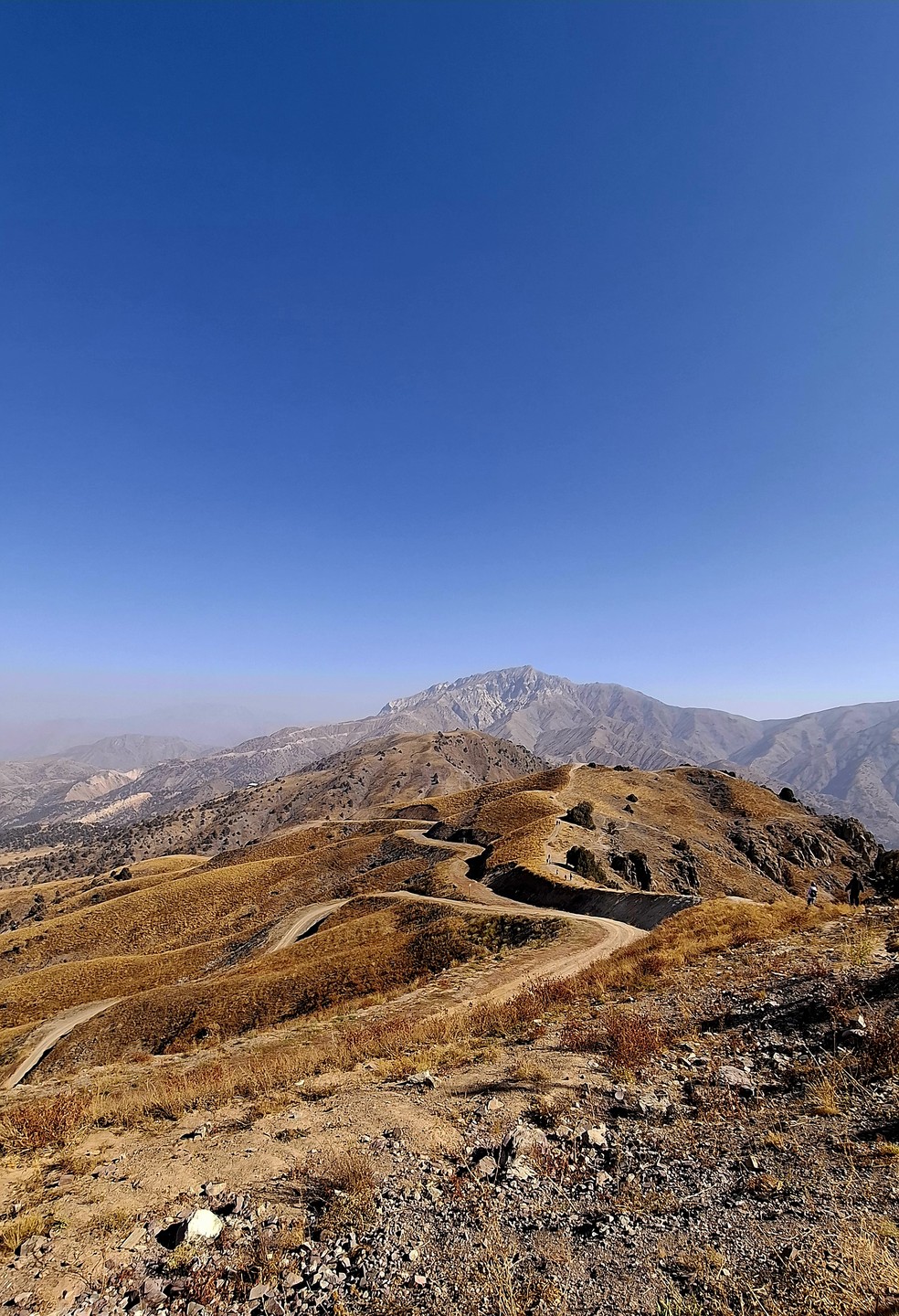 Восточное трио: Ташкент, Самарканд и Бухара за 5 дней (Юлия)
