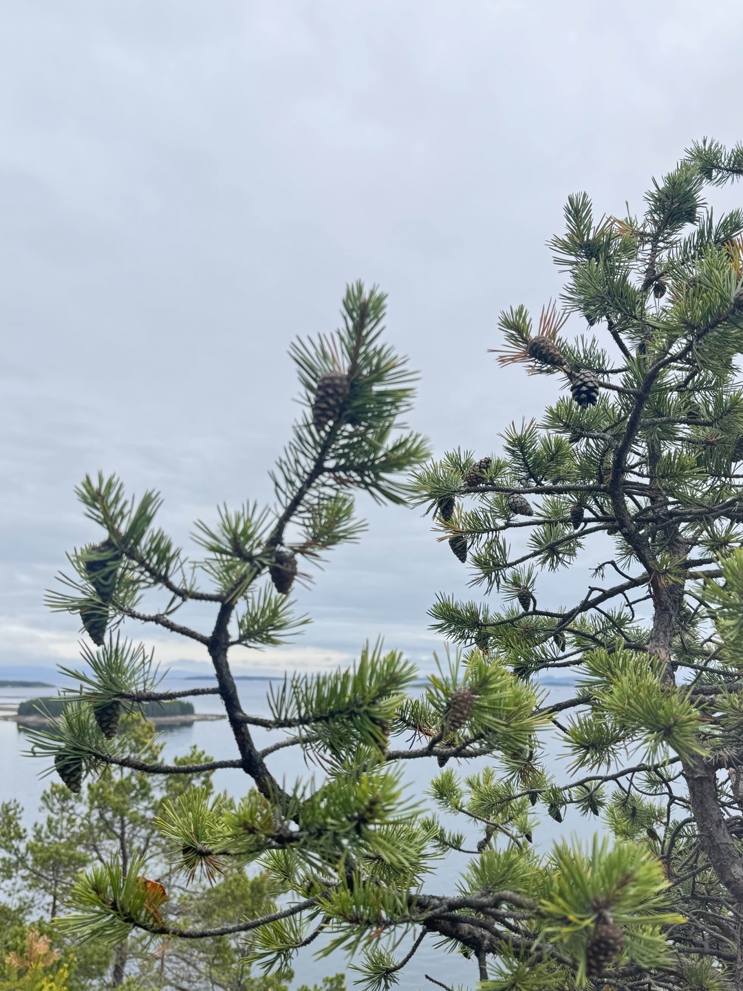 Замечательная экскурсия с профессионалом👍