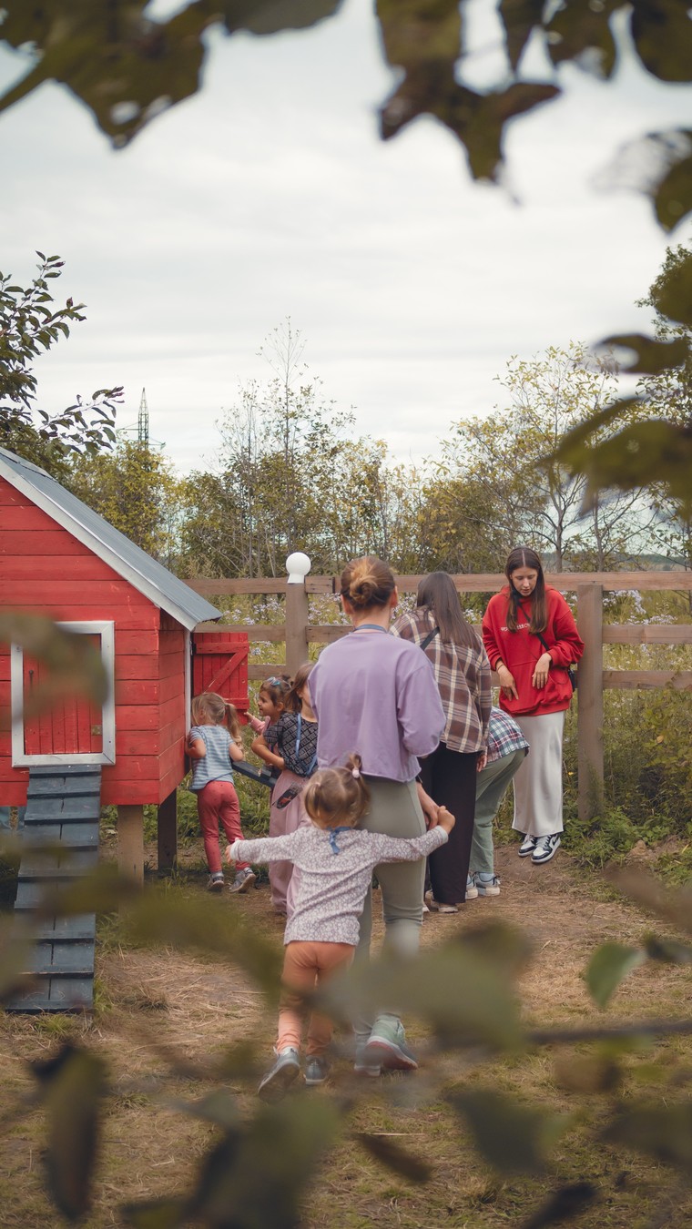 На ферму альпак — из Владивостока (5/16)