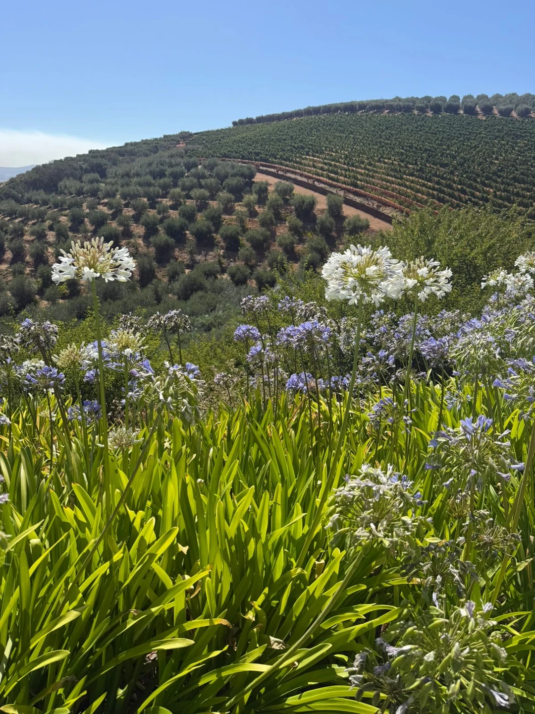 Великолепная экскурсия, которая понравилась всей нашей семье. И мы не пожалели, что выбрали именно гида сомелье