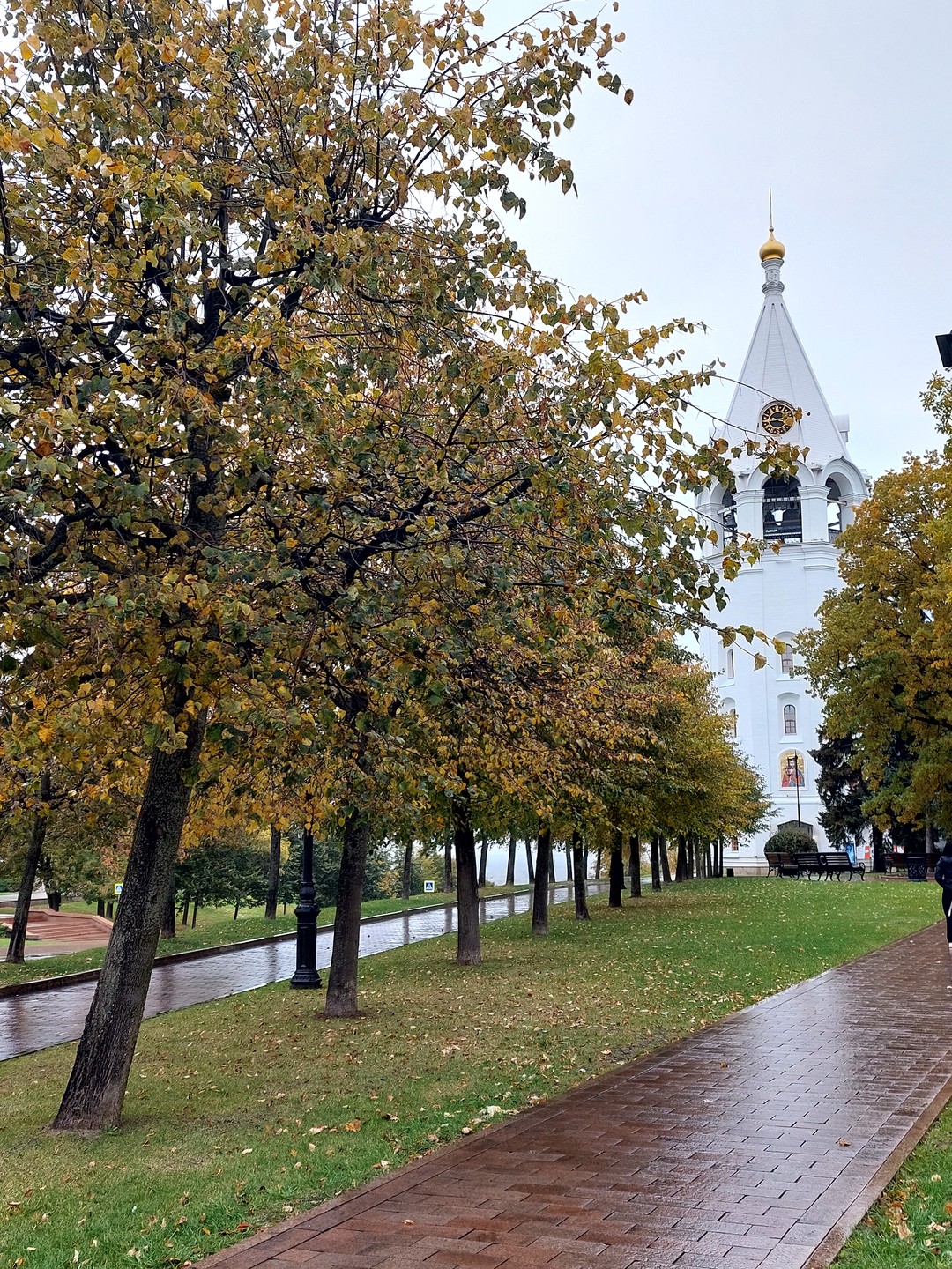 Обзорная экскурсия по Нижнему Новгороду на автобусе (Кира)